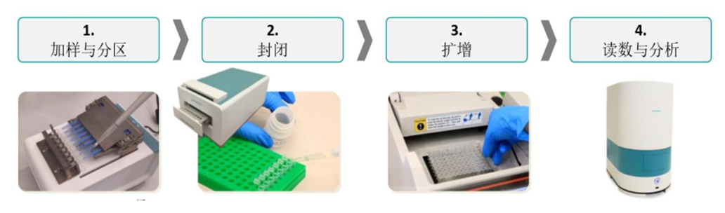 ClarityTM超快速数字PCR系统流程.png