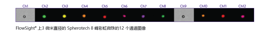 Amnis FlowSight图文11.png